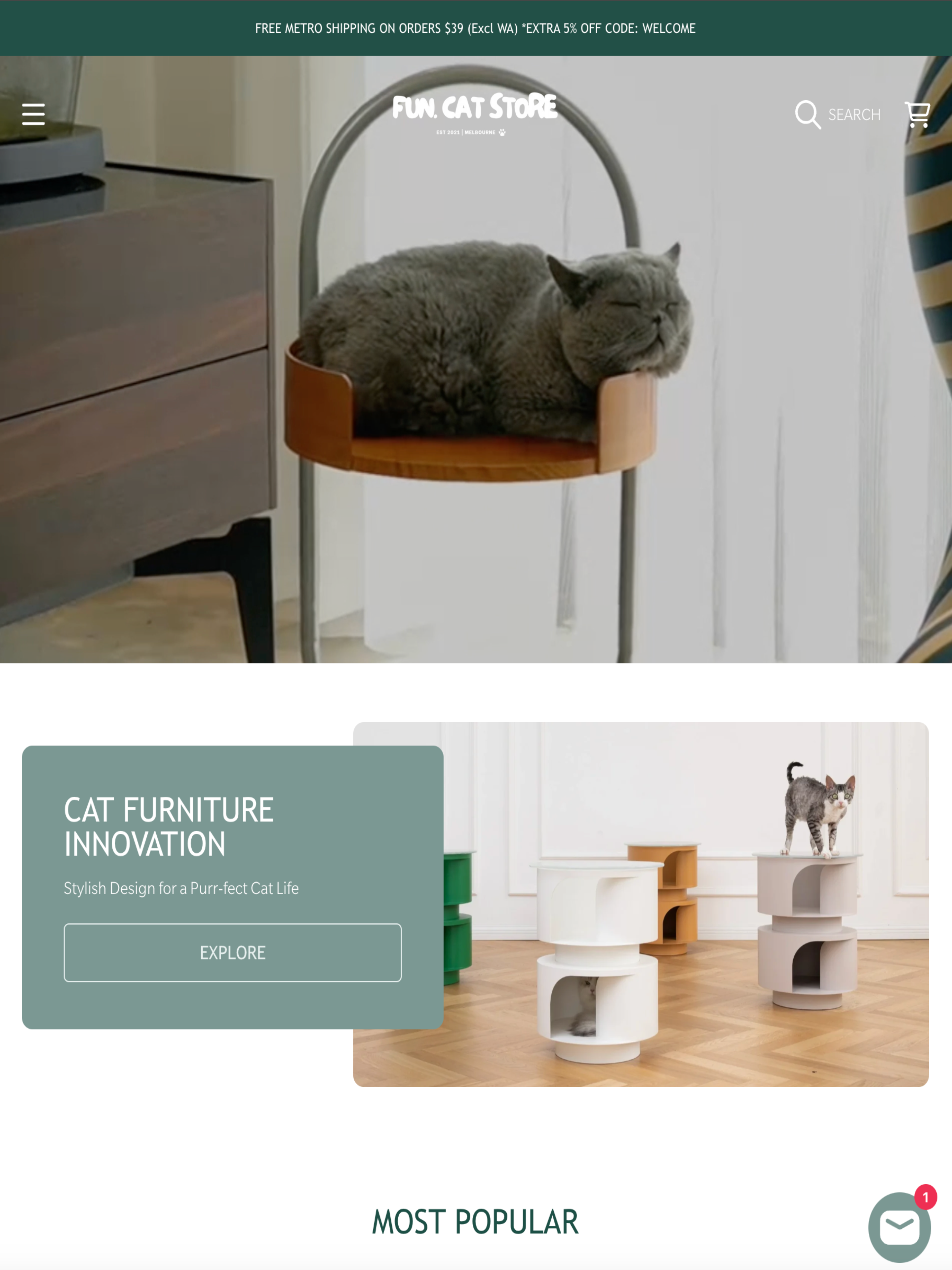 Fun Cat
