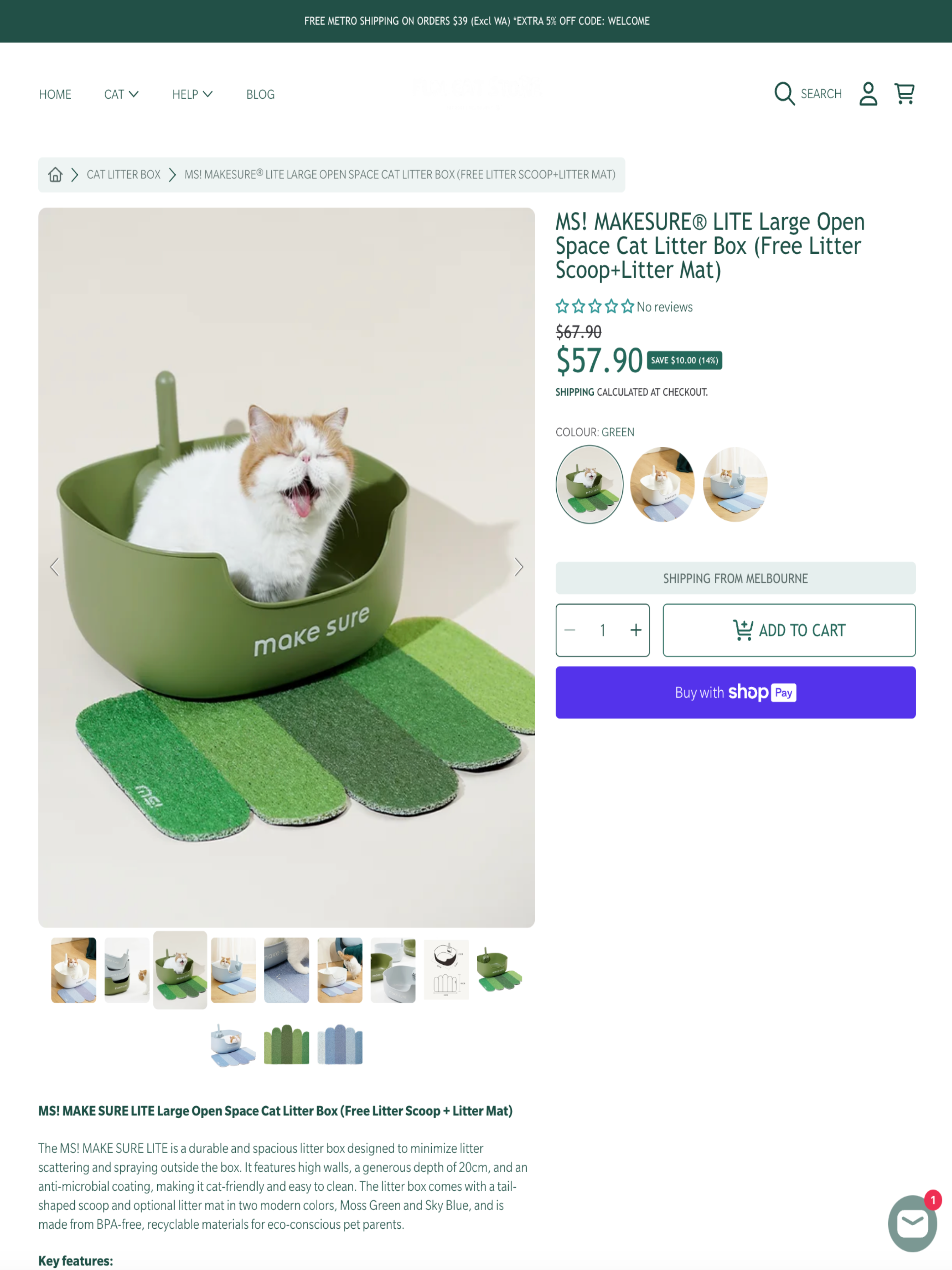 Fun Cat